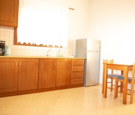 Practical and clean kitchen